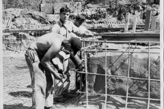 Historical photograph