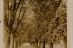 HH Inn - 1905