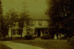 Linden